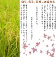 画像8: 【玄米】福島県【令和5年産】匠の米「田村ひとめぼれ」20kg（5kg×4袋）[石抜き処理済]　●送料無料(北海道・九州・沖縄を除く)