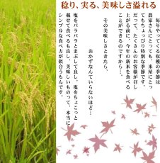 画像8: 【玄米】【令和7年産】みのりの詩チヨニシキ30kg（生産者出荷時の30kg紙袋）　●送料無料(北海道・九州・沖縄を除く) (8)