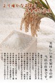 画像10: 【送料無料】【玄米】令和4年産　福島県産ミルキークィーン20kg（5kg×4袋）　[石抜き処理済]