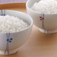 画像16: 米の美味さを全て兼ね備えた究極の食材【令和4年産】究極の米『魚沼産コシヒカリ』5kg (16)