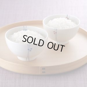 画像16: 令和7年産・業務用会津コシヒカリ 10kg×3 ●送料無料(北海道・九州・沖縄を除く)