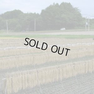 画像16: 【玄米】令和7年産福島県産・会津コシヒカリ25kg（5kg×5袋）[石抜き処理済]　●送料無料(北海道・九州・沖縄を除く)