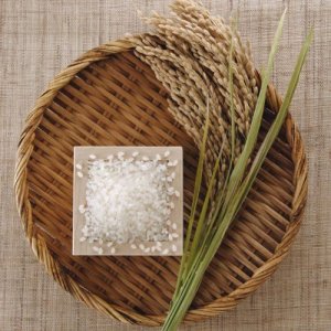 画像15: これぞ理想のお米!!【令和7年産】『銀米工房』20kg(5kg×4袋) ●送料無料(北海道・九州・沖縄を除く)