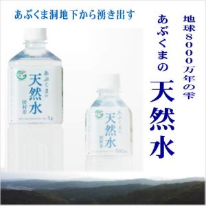画像3: 世界に認められた日本を代表する天然水「あぶくまの天然水」2箱(1L×20本) ●送料無料(北海道・九州・沖縄を除く)
