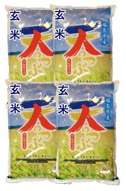 【玄米】令和5年産　福島県産　天のつぶ 　20kg (5kg×4袋)　[石抜き処理済]　●送料無料(北海道・九州・沖縄を除く)