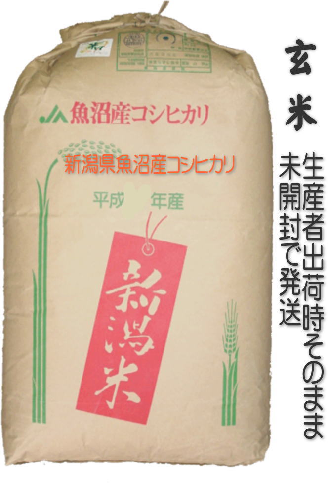 画像1: 【玄米】米の美味さを全て兼ね備えた究極の食材【令和3年産】究極の米『魚沼産コシヒカリ』30kg (1)