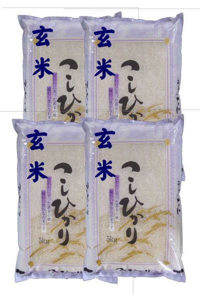 画像1: 【玄米】令和7年産福島県産・会津コシヒカリ20kg（5kg×4袋）石抜き処理済]　●送料無料(北海道・九州・沖縄を除く) (1)