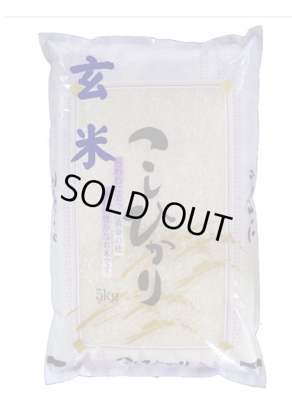 画像1: 【玄米】令和6年産福島県産会津コシヒカリ5ｋｇ[石抜き処理済]　●送料無料(北海道・九州・沖縄を除く) (1)