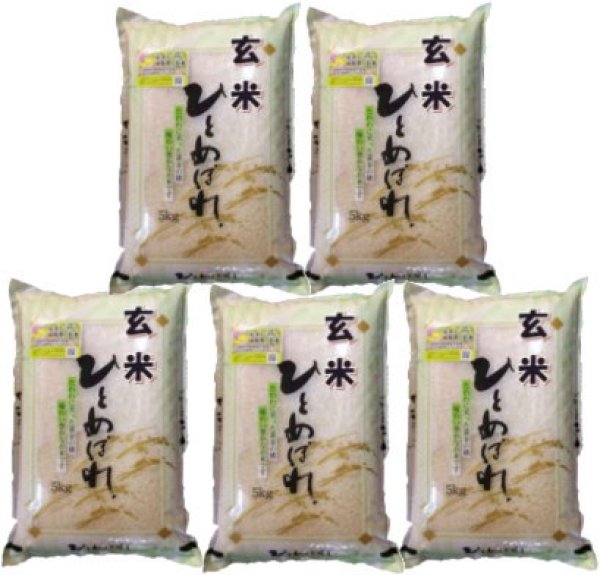 画像1: 【玄米】令和7年産・会津産 特選ひとめぼれ25kg（5kg×5袋）[石抜き処理済]　●送料無料(北海道・九州・沖縄を除く) (1)