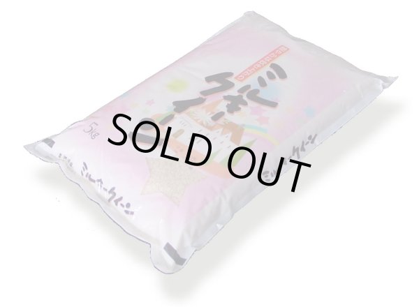 画像1: 令和6年産新品種ミルキークイーン5kg　●送料無料(北海道・九州・沖縄を除く) (1)