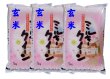 画像1: 【玄米】令和6年産　福島県産ミルキークィーン15kg（5kg×3袋）　[石抜き処理済]　●送料無料(北海道・九州・沖縄を除く) (1)