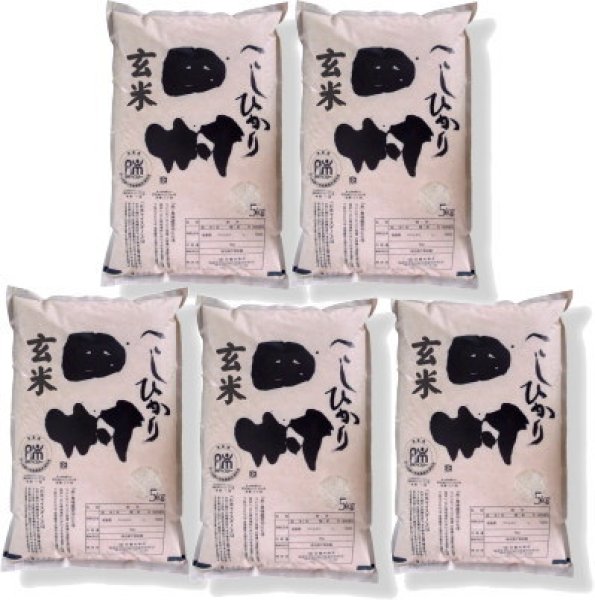 画像1: 【玄米】福島県【令和6年産】『匠の米・田村コシヒカリ』25kg(5kg×5袋)[石抜き処理済]　●送料無料(北海道・九州・沖縄を除く) (1)