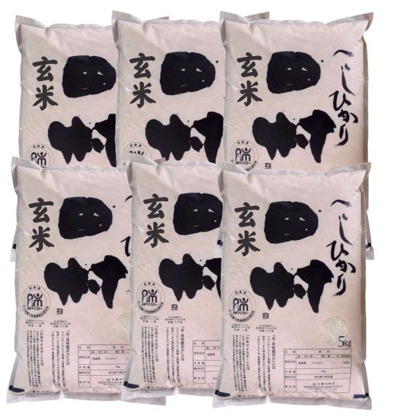 画像1: 【玄米】福島県【令和6年産】『匠の米・田村コシヒカリ』30kg(5kg×6袋)[石抜き処理済]　●送料無料(北海道・九州・沖縄を除く) (1)