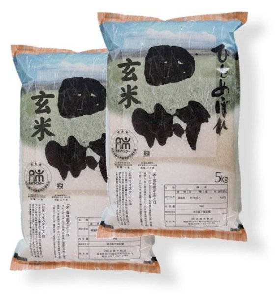 画像1: 【玄米】福島県【令和7年産】匠の米「田村ひとめぼれ」10kg（5kg×2袋）[石抜き処理済]　●送料無料(北海道・九州・沖縄を除く) (1)