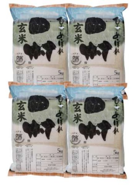 画像1: 【玄米】福島県【令和7年産】匠の米「田村ひとめぼれ」20kg（5kg×4袋）[石抜き処理済]　●送料無料(北海道・九州・沖縄を除く) (1)