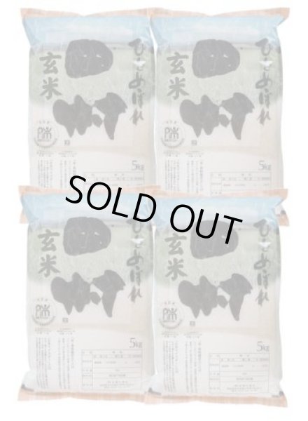 画像1: 【玄米】福島県【令和6年産】匠の米「田村ひとめぼれ」20kg（5kg×4袋）[石抜き処理済]　●送料無料(北海道・九州・沖縄を除く) (1)