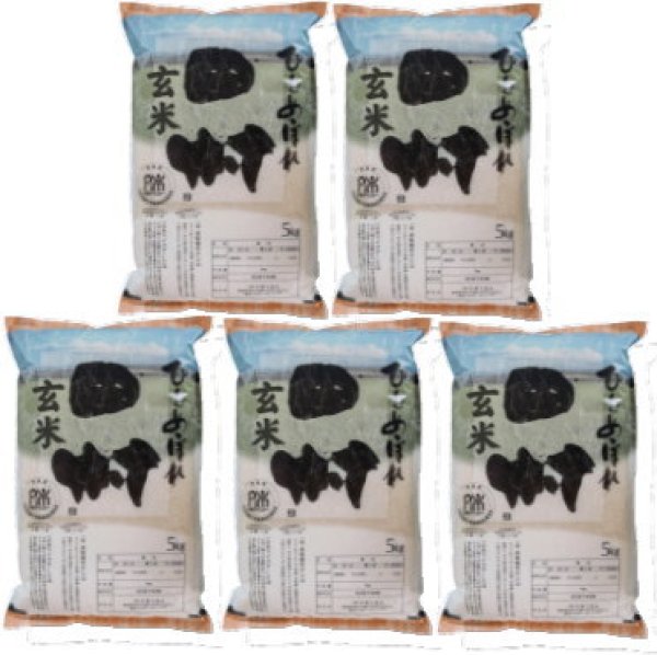 画像1: 【玄米】福島県【令和7年産】匠の米「田村ひとめぼれ」25kg（5kg×5袋）[石抜き処理済]　●送料無料(北海道・九州・沖縄を除く) (1)