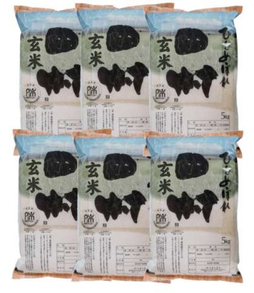 画像1: 【玄米】福島県【令和7年産】匠の米「田村ひとめぼれ」30kg（5kg×6袋）[石抜き処理済]　●送料無料(北海道・九州・沖縄を除く) (1)