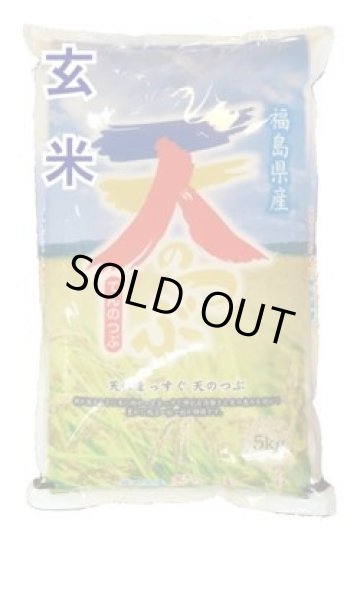 画像1: 【玄米】令和6年産　福島県産　天のつぶ  5kg　[石抜き処理済]　●送料無料(北海道・九州・沖縄を除く) (1)