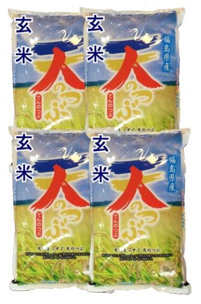 画像1: 【玄米】令和7年産　福島県産　天のつぶ 　20kg (5kg×4袋)　[石抜き処理済]　●送料無料(北海道・九州・沖縄を除く) (1)
