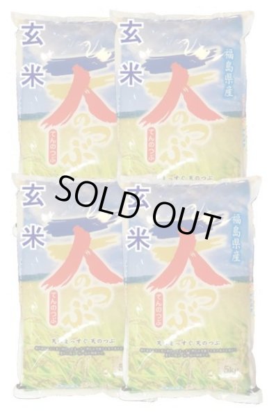 画像1: 【玄米】令和6年産　福島県産　天のつぶ 　20kg (5kg×4袋)　[石抜き処理済]　●送料無料(北海道・九州・沖縄を除く) (1)