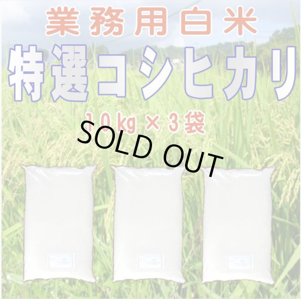 画像1: 令和6年産・業務用会津コシヒカリ 10kg×3　●送料無料(北海道・九州・沖縄を除く) (1)
