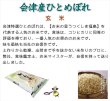 画像6: 【玄米】令和5年産・会津産 特選ひとめぼれ15kg（5kg×3袋）[石抜き処理済]　●送料無料(北海道・九州・沖縄を除く) (6)