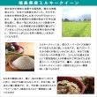 画像5: 【無洗米】【令和6年産】新品種 魔法のお米 ミルキークイーン10kg（5kg×2袋）　●送料無料(北海道・九州・沖縄を除く) (5)