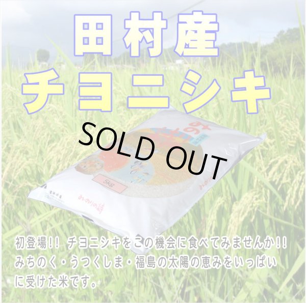 令和6年産】みのりの詩 チヨニシキ10kg（5kg×2袋） ○送料無料
