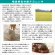 画像5: 【玄米】令和6年産　福島県産チヨニシキ30kg (5kg×6袋)　[石抜き処理済]　●送料無料(北海道・九州・沖縄を除く) (5)