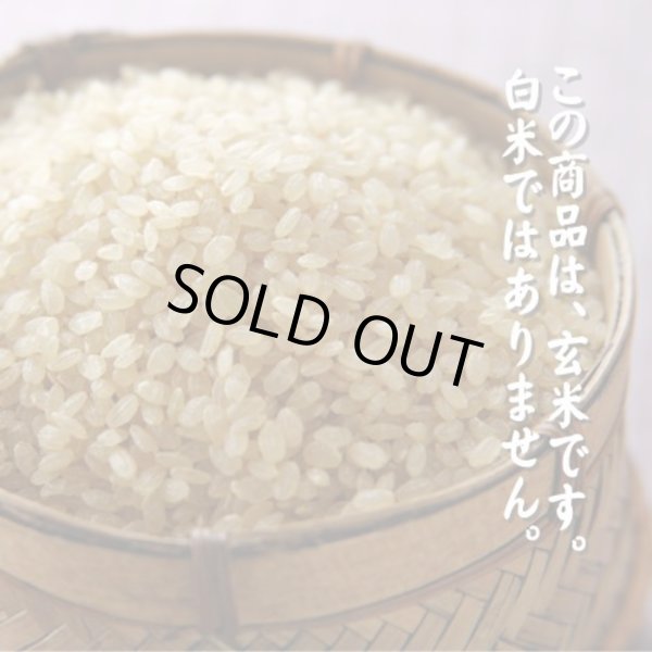 画像3: 【玄米】令和7年産・会津産 特選ひとめぼれ30kg（5kg×6袋）[石抜き処理済]　●送料無料(北海道・九州・沖縄を除く) (3)