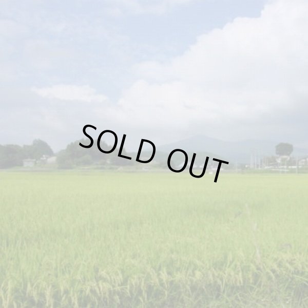 画像10: 令和7年産・業務用会津コシヒカリ 10kg×3 ●送料無料(北海道・九州・沖縄を除く) (10)