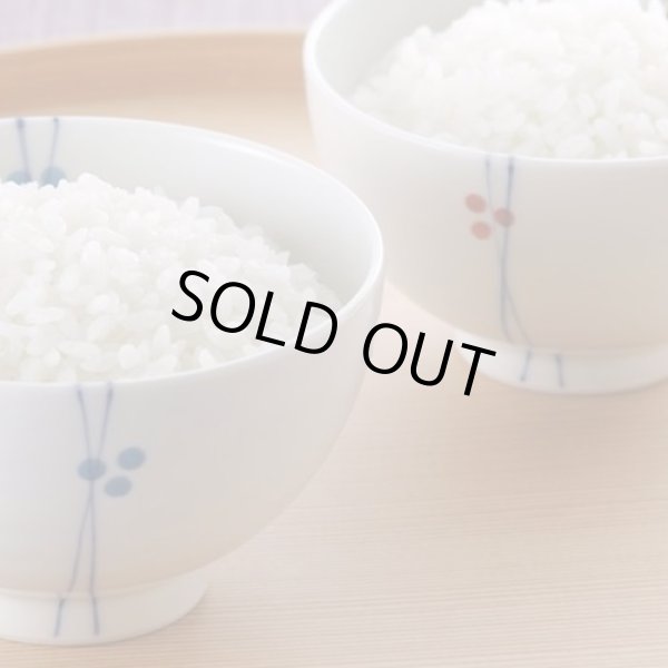 画像16: 令和7年産・業務用会津ひとめぼれ 10kg×3 ●送料無料(北海道・九州・沖縄を除く) (16)