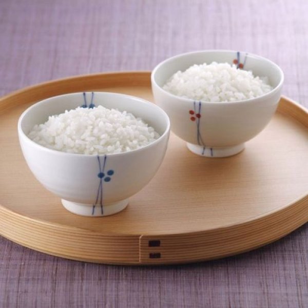 画像13: 【令和7年産】みのりの詩 チヨニシキ20kg（5kg×4袋）　●送料無料(北海道・九州・沖縄を除く) (13)