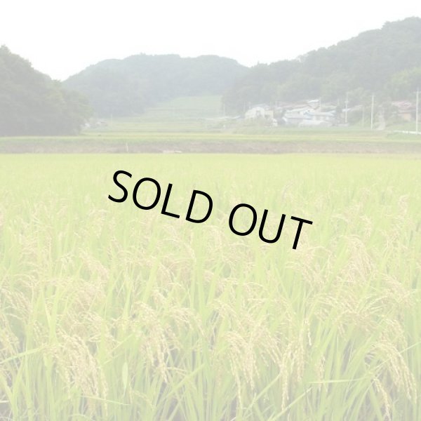 画像14: 【玄米】福島県【令和7年産】匠の米「田村ひとめぼれ」30kg（5kg×6袋）[石抜き処理済]　●送料無料(北海道・九州・沖縄を除く) (14)