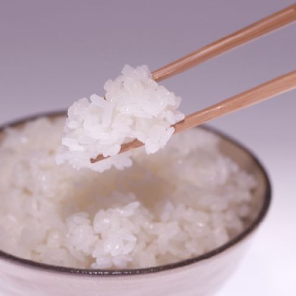 画像15: 【無洗米】令和7年産・福島県田村産 天のつぶ10kg(5kg×2袋) ●送料無料(北海道・九州・沖縄を除く) (15)