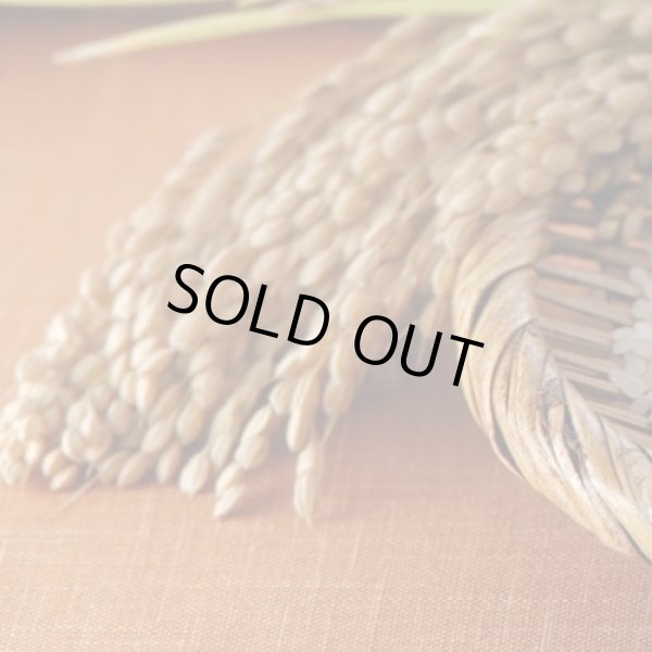 画像15: 【玄米】福島県【令和7年産】匠の米「田村ひとめぼれ」5kg[石抜き処理済]　●送料無料(北海道・九州・沖縄を除く) (15)