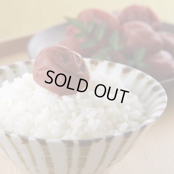 画像14: 【玄米】令和7年産福島県産会津コシヒカリ5ｋｇ[石抜き処理済]　●送料無料(北海道・九州・沖縄を除く) (14)