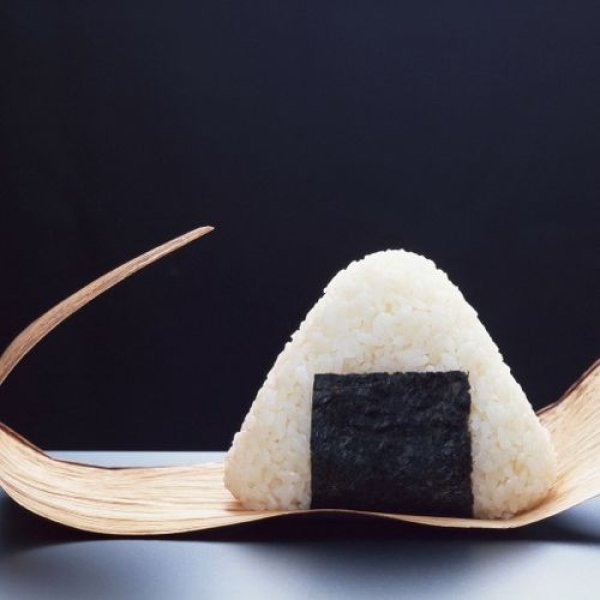 画像13: 【無洗米】福島県【令和7年産】『匠の米・田村コシヒカリ』 10kg(5kg×2袋)　●送料無料(北海道・九州・沖縄を除く) (13)