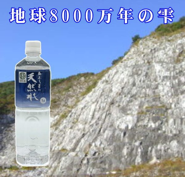 画像5: 世界に認められた日本を代表する天然水「あぶくまの天然水」2箱(1L×20本)　●送料無料(北海道・九州・沖縄を除く) (5)
